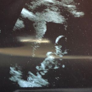 Meet your Posher, Natalia